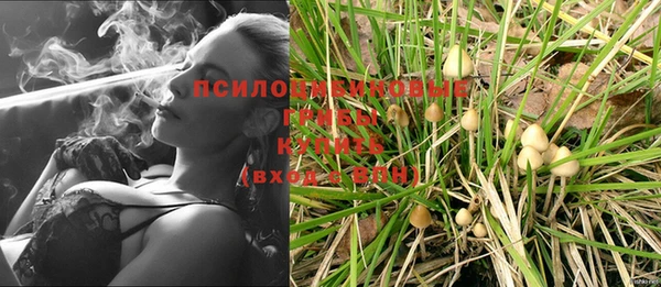 PSILOCYBIN Абаза