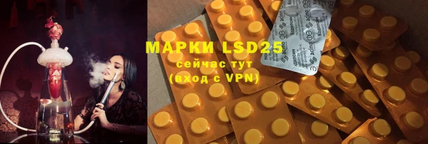 PSILOCYBIN Абаза