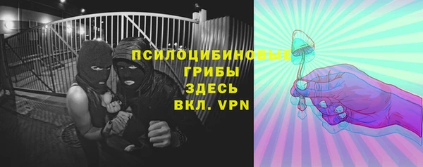 PSILOCYBIN Абаза