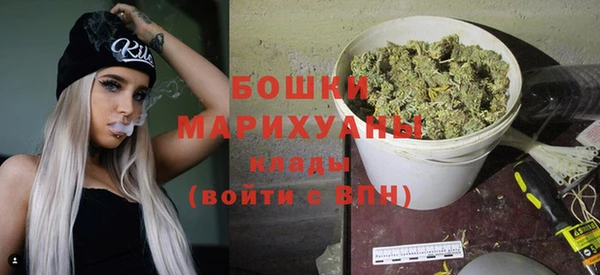 PSILOCYBIN Абаза